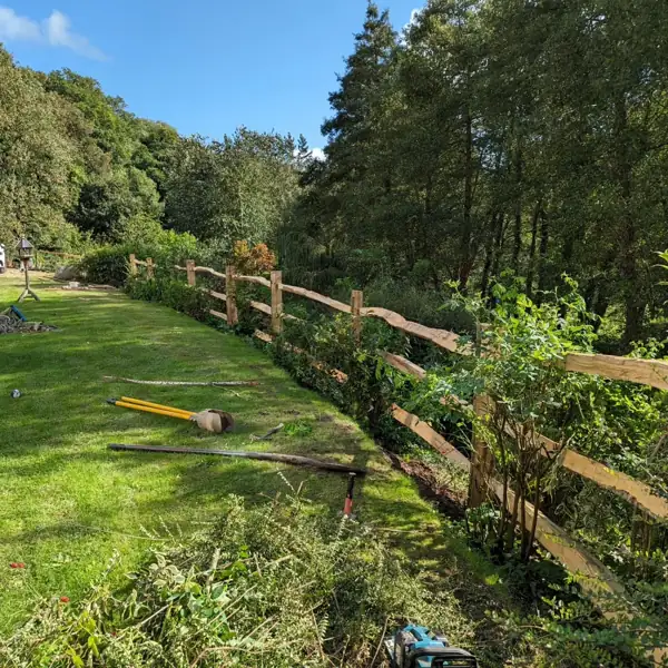 Garden project by Robin's Garden