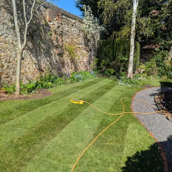 Garden project by Robin's Garden