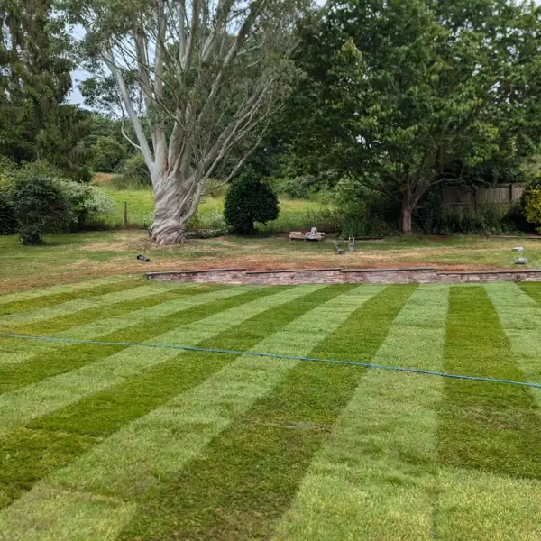 Garden project by Robin's Garden