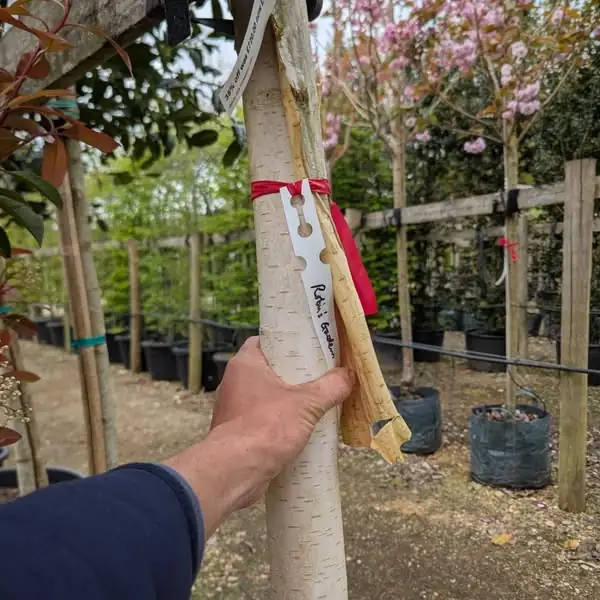 Garden project by Robin's Garden