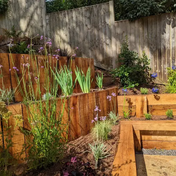 Garden renovation in progress
