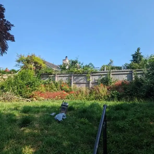 Overgrown garden before clearance